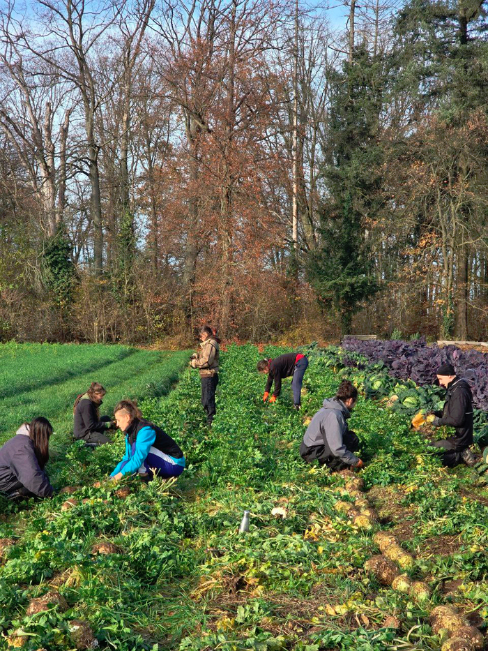 photo 2025 11 17 12 40 13 3