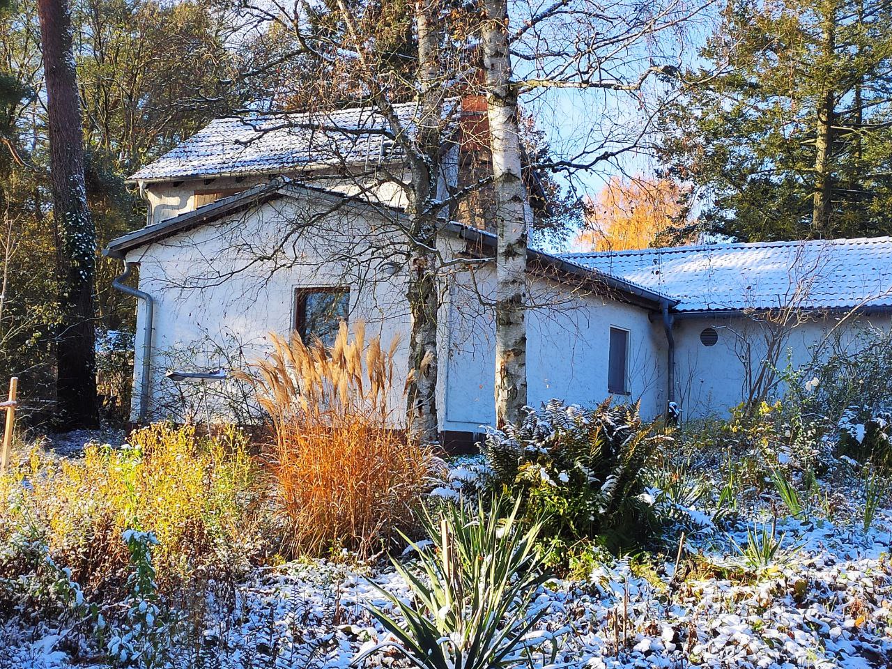 photo 2023 12 04 08 50 29