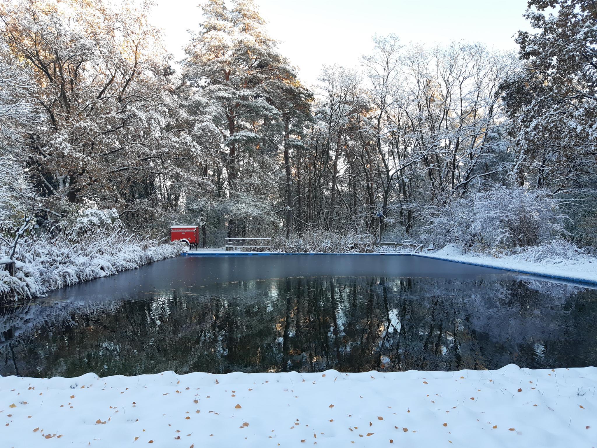 signal 2023 11 28 221738 010