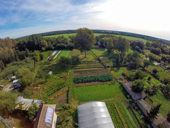 2020 Drohnenblick auf Garten