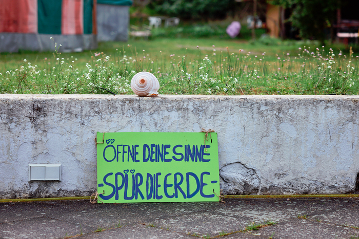 ZEGG Sommerfestival 2025 FINNEGAN KOICHI GODENSCHWEGER MedRes 187